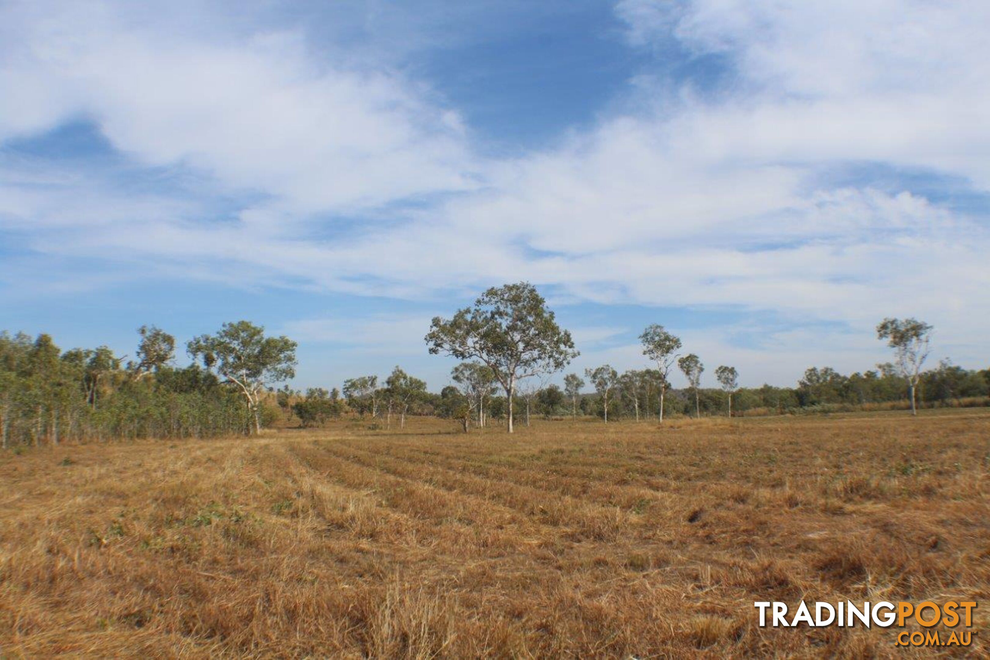 Adelaide River NT 0846