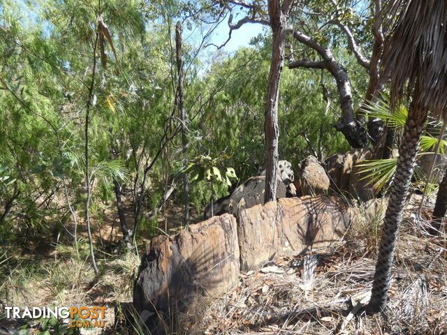 Darwin River NT 0841