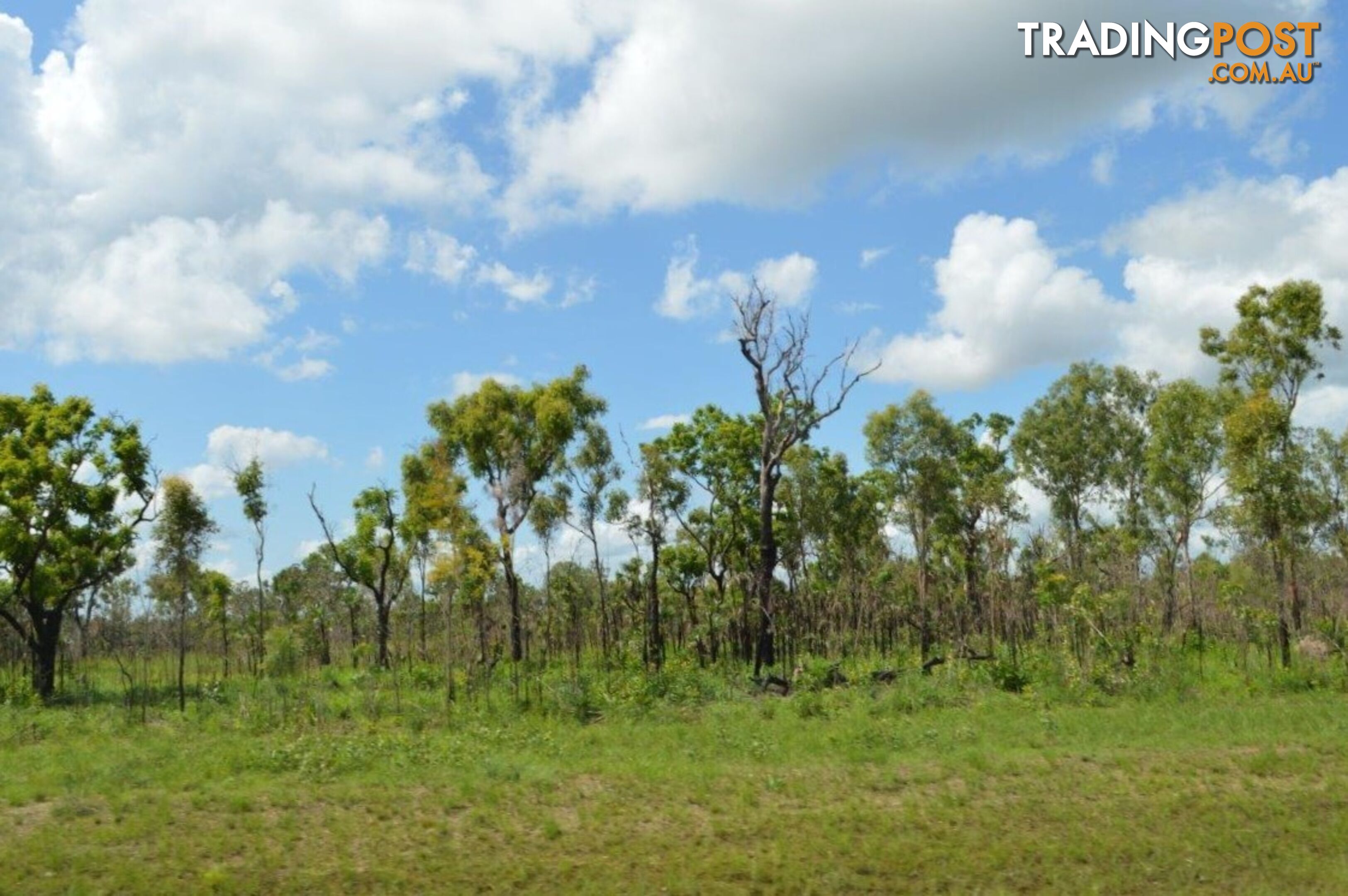 Darwin River NT 0841