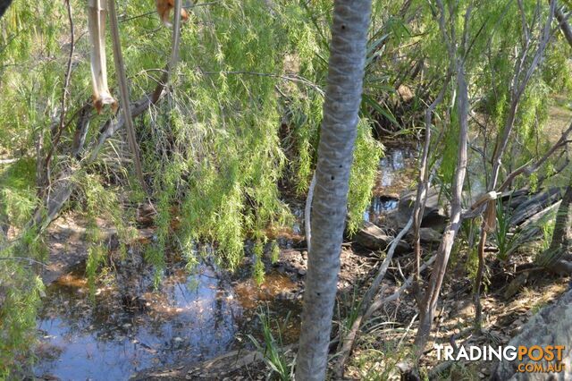 Darwin River NT 0841