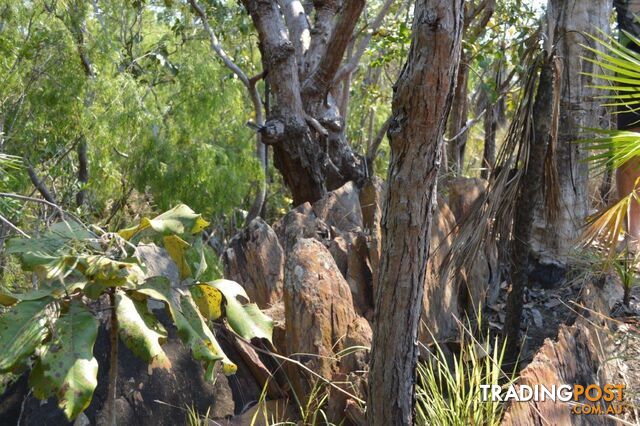 Darwin River NT 0841