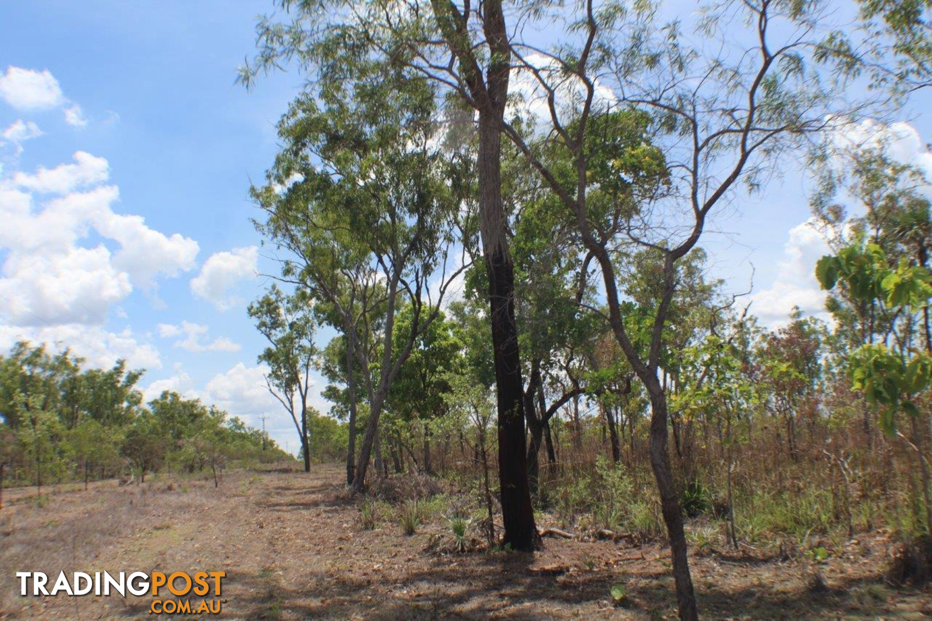 542 & 32 Cheeney - Nolan Road Batchelor NT 0845