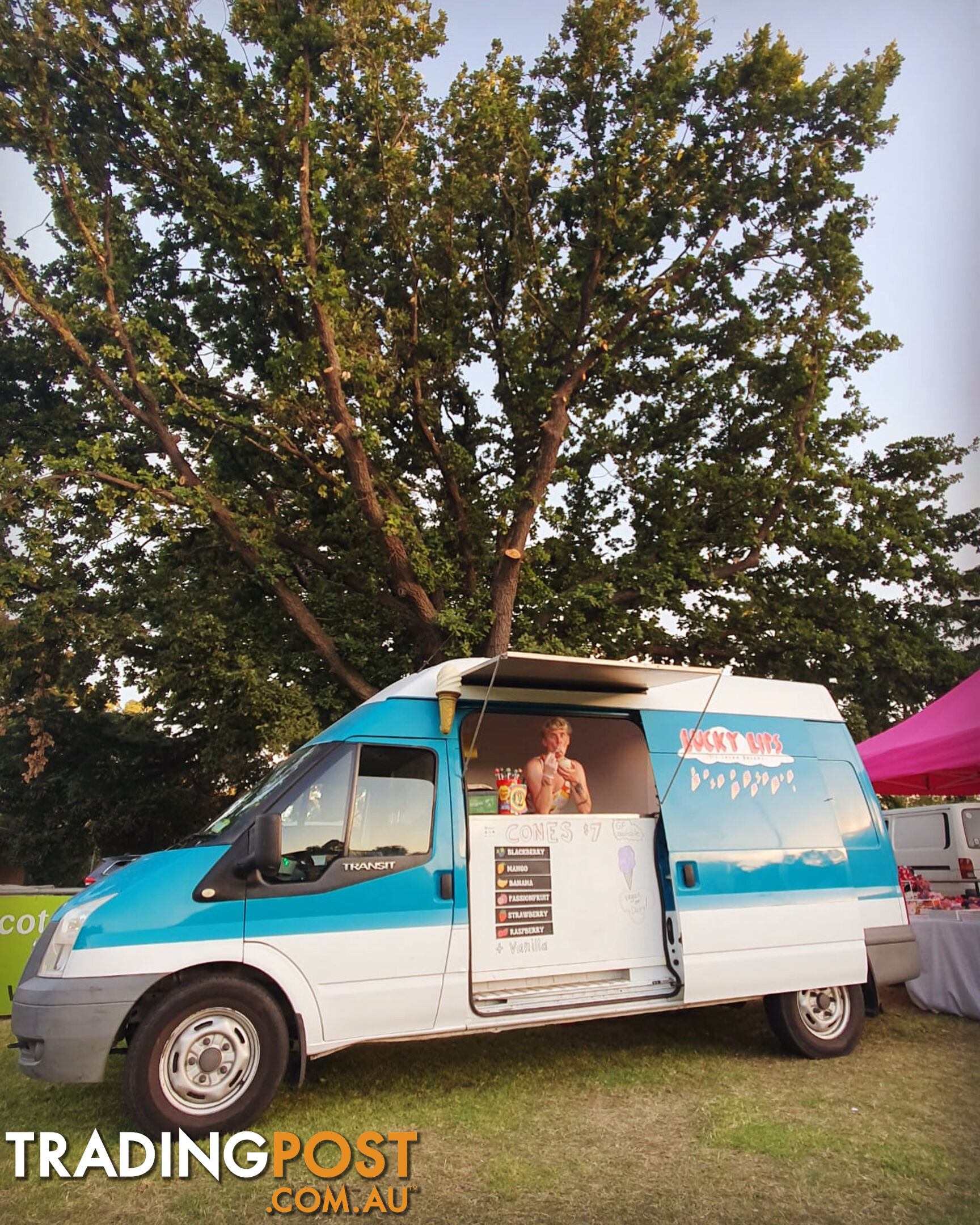 Ice Cream Van + Business For Sale