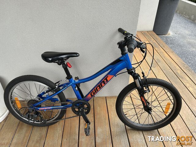 Giant 20” Kids Bike