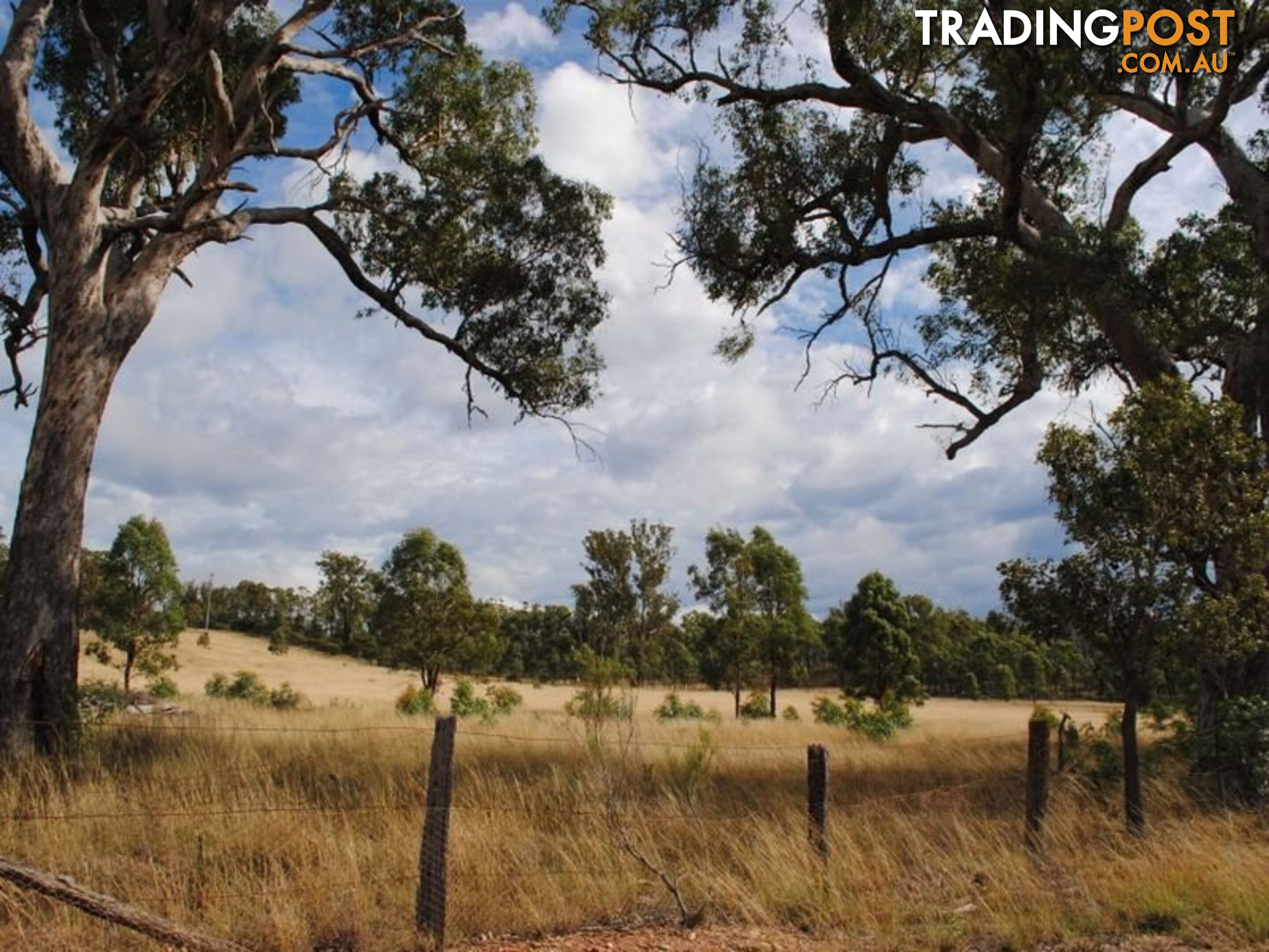 LOT 11 Back Creek Road KARARA QLD 4352