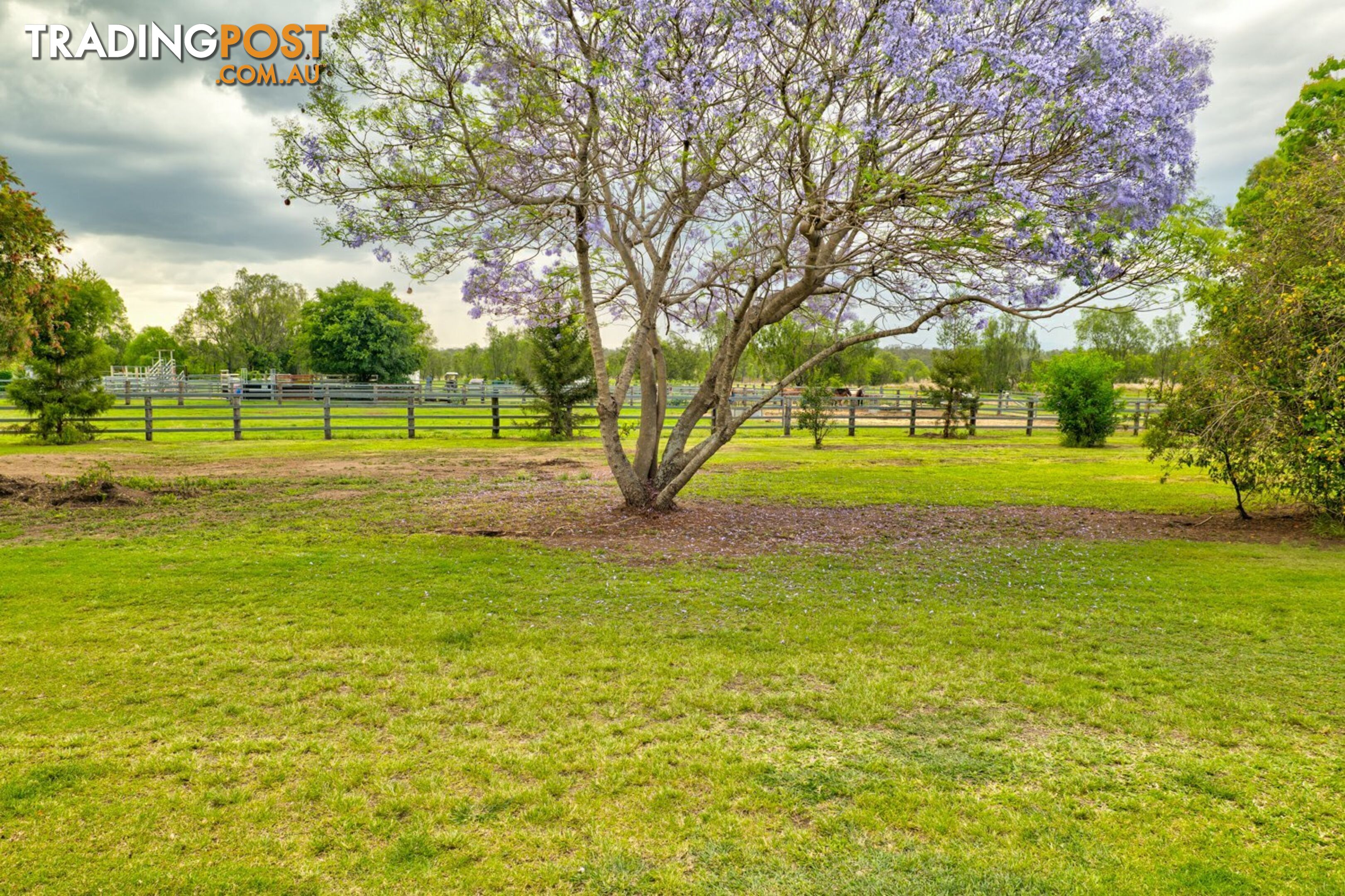 8 Harm Road FOREST HILL QLD 4342