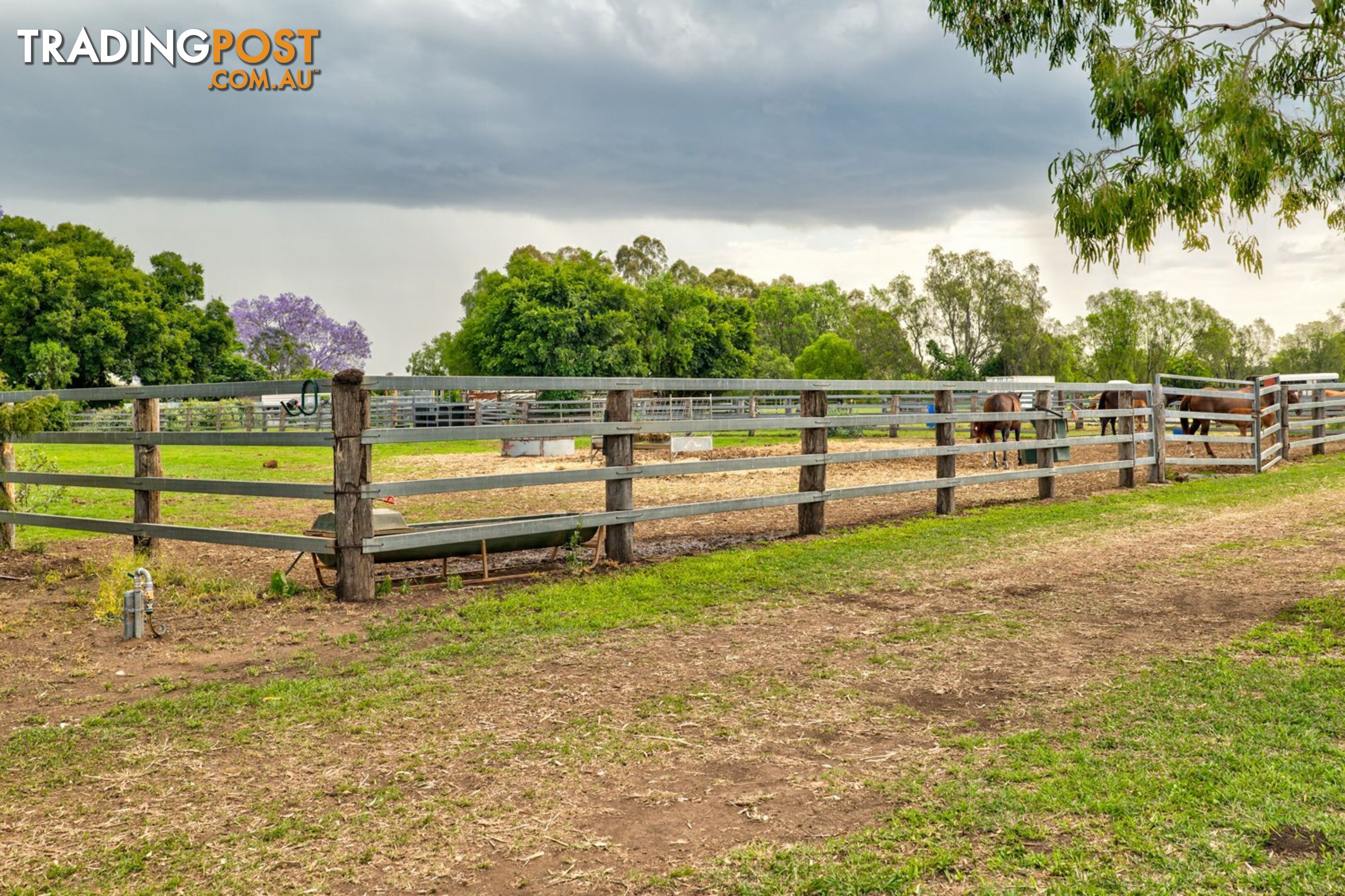 8 Harm Road FOREST HILL QLD 4342