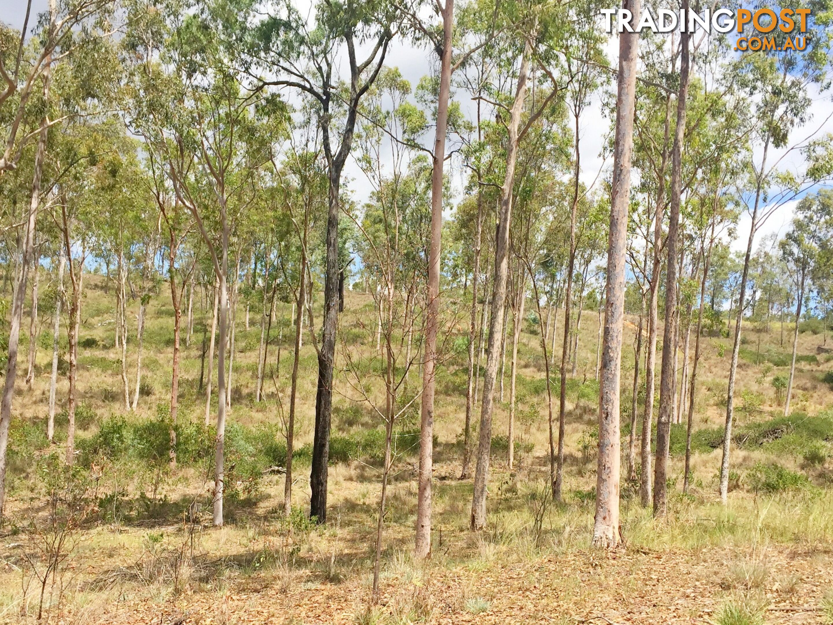 Lot PINNACLE RISE ESTATE/103 Green Gully Road UPPER LOCKYER QLD 4352