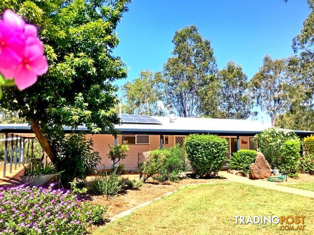 62 Brigalow Street PLACID HILLS QLD 4343