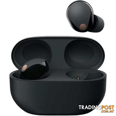 Sony WF-1000XM5 Wireless Noise Cancelling Earphones - photo 4 of 7