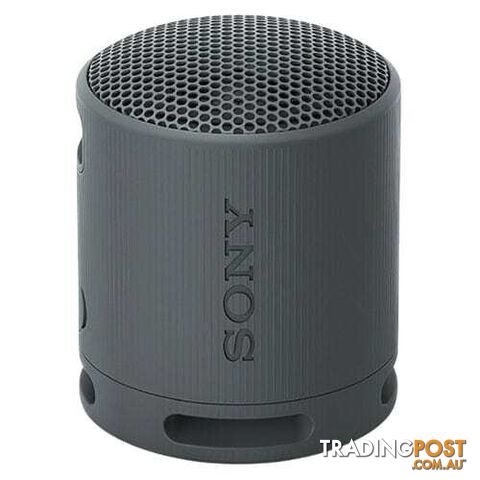 Sony SRS-XB100 Portable Wireless Speaker