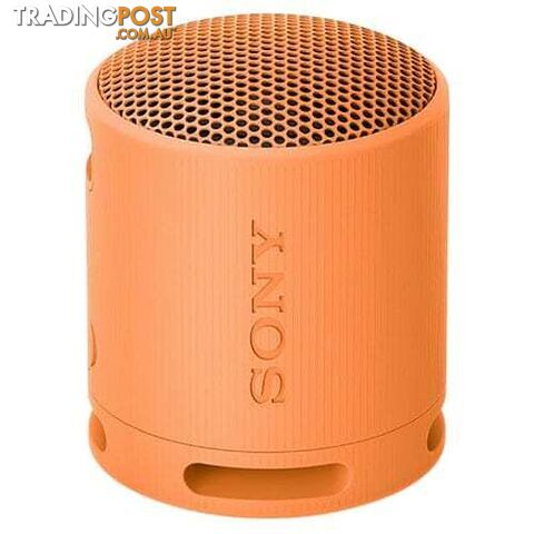 Sony SRS-XB100 Portable Wireless Speaker