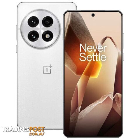 OnePlus 13 (PJZ110 China Specs Dual SIM 24GB RAM 1TB 5G)