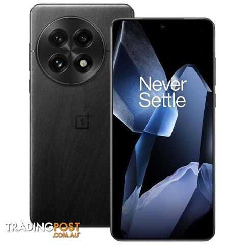 OnePlus 13 (PJZ110 China Specs Dual SIM 16GB RAM 512GB 5G) - photo 2 of 4
