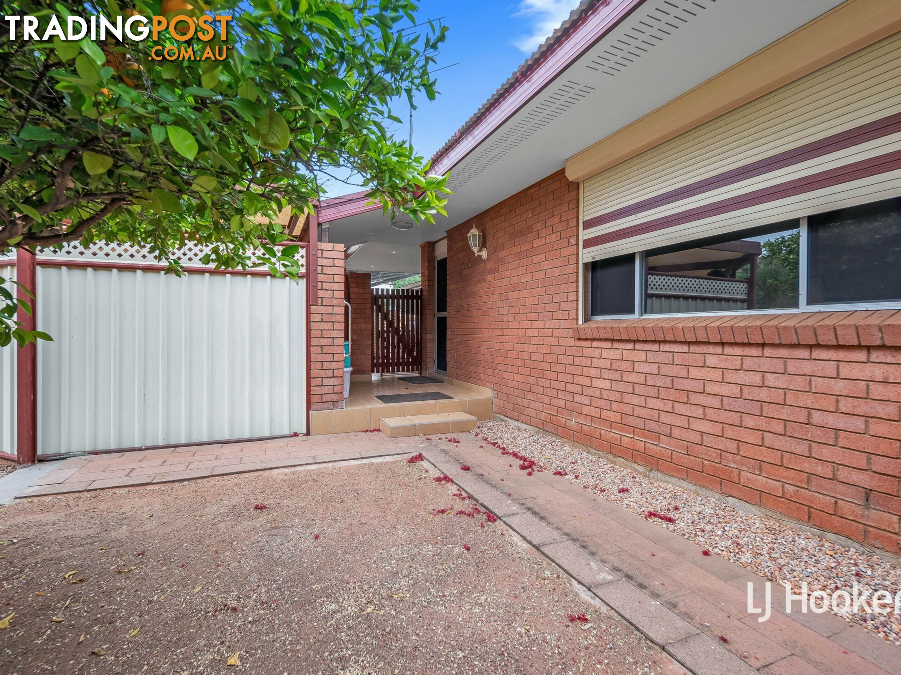 3 Holtermann Court LARAPINTA NT 0875