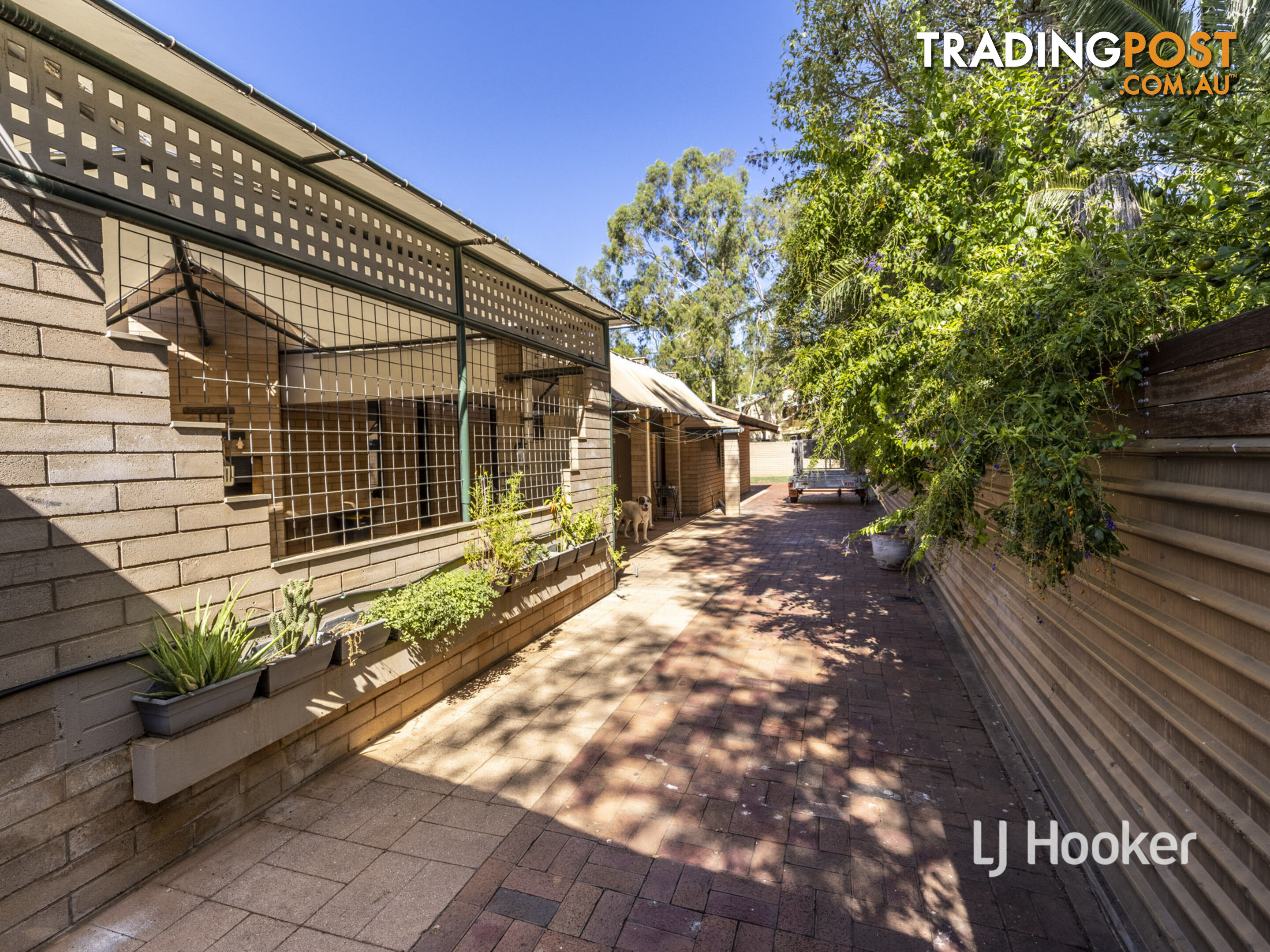 18 Mahomed Street THE GAP NT 0870