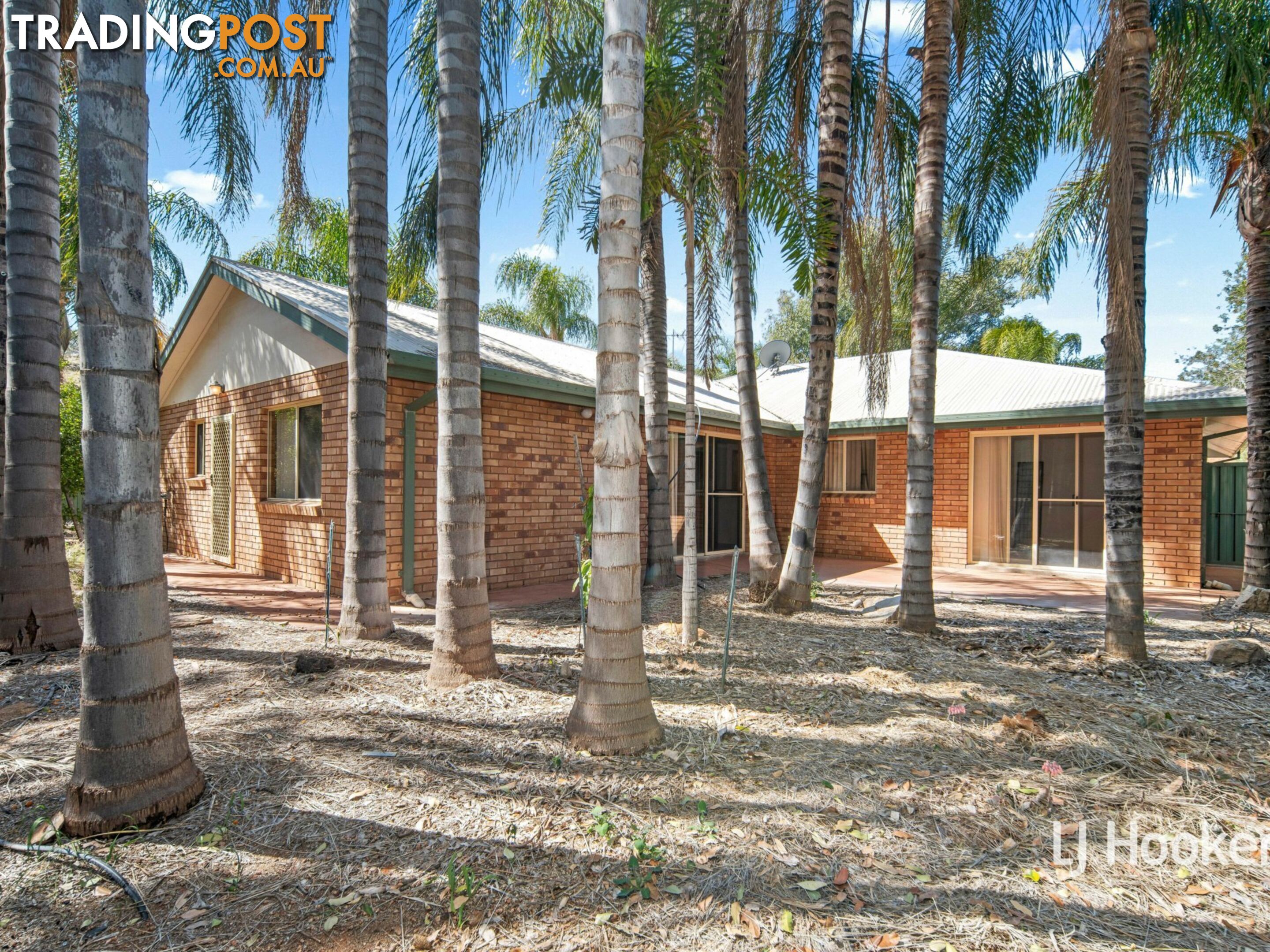 11 Terry Court ARALUEN NT 0870