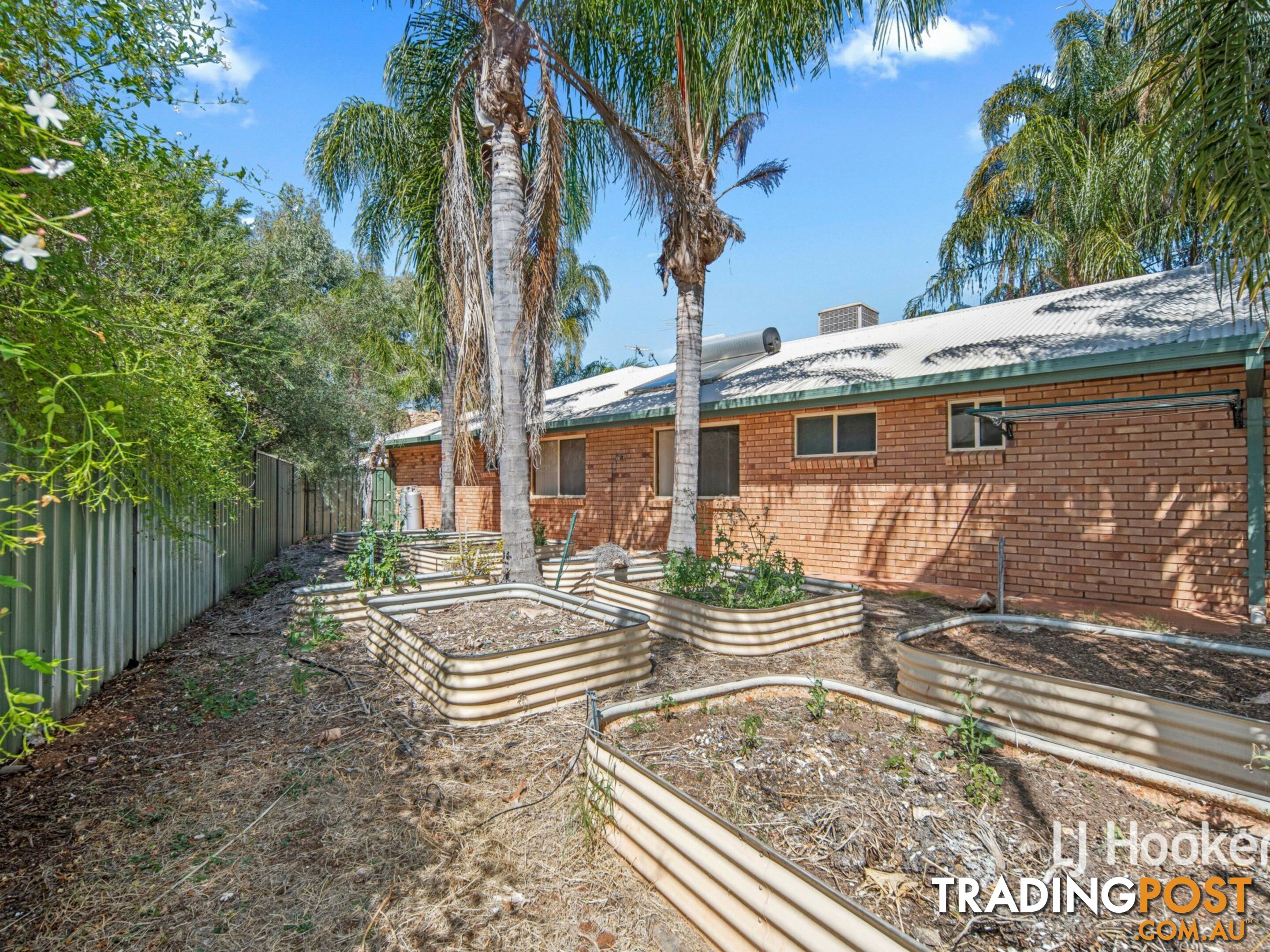 11 Terry Court ARALUEN NT 0870