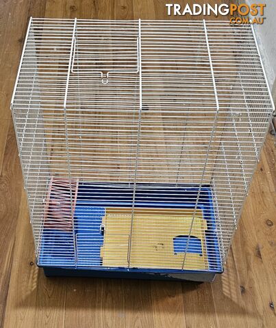 Rat cage