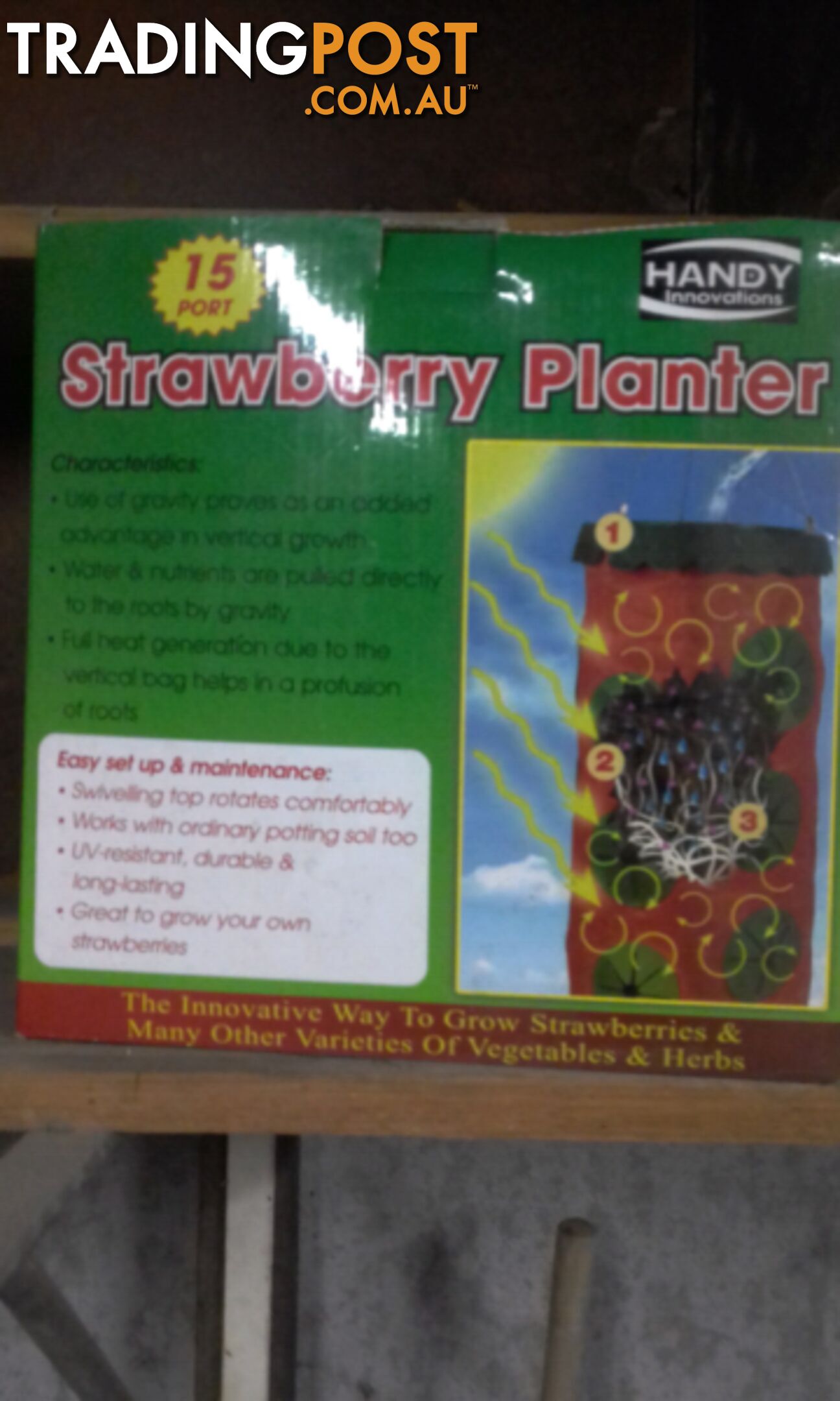 Strawberry planter brand