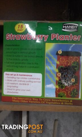 Strawberry planter brand