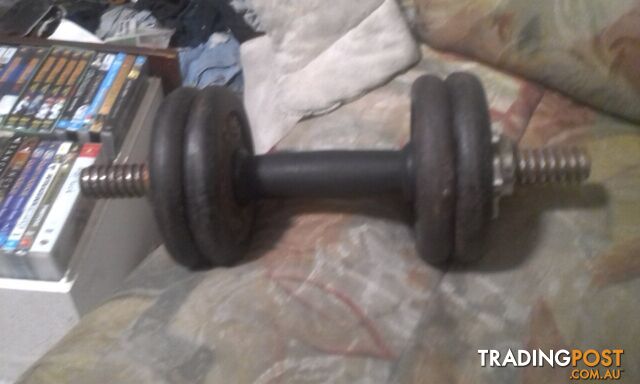 Dumbbell 4x1.5kg weights ringmaster