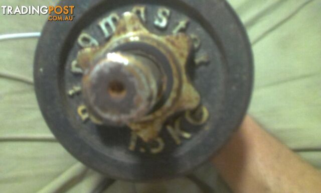 Dumbbell 4x1.5kg weights ringmaster - photo 2 of 2