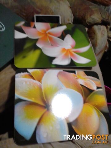 JASON 6x placemats. BRAND NEW cost $40 sell for /$25 ono - photo 2 of 6