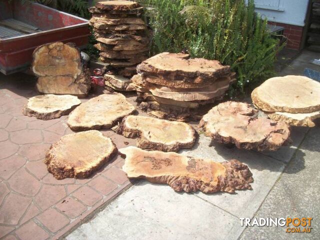 HARDWOOD TIMBER BURL SLABS - photo 2 of 10