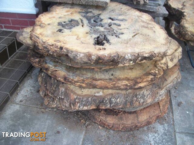 HARDWOOD TIMBER BURL SLABS - photo 4 of 10