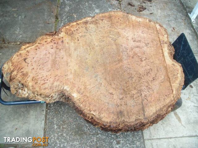 HARDWOOD TIMBER BURL SLABS - photo 3 of 10