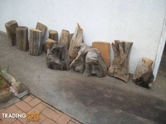 HUON PINE Timber pieces, stumps, branches - also have slabs