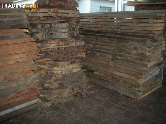 SEASONED HARDWOOD TIMBER SLABS & BURLS - photo 3 of 10