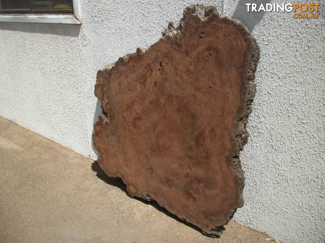 RIVER RED GUM HARDWOOD TIMBER BURL SLAB seasoned 1.1 x 1.3 mtrs - photo 3 of 4