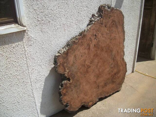 RIVER RED GUM HARDWOOD TIMBER BURL SLAB seasoned 1.1 x 1.3 mtrs - photo 4 of 4