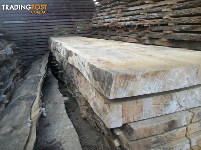 NORFOLK ISLAND PINE TIMBER SLABS - 2.4 to 3.8 mtrs x 40cm-80cm - photo 3 of 10