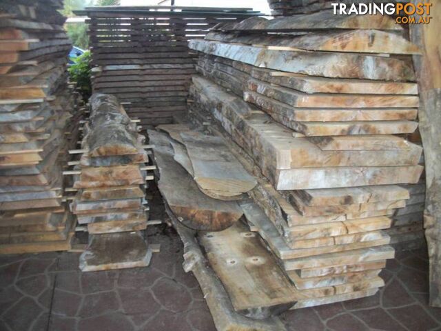 NORFOLK ISLAND PINE TIMBER SLABS - 2.4 to 3.8 mtrs x 40cm-80cm