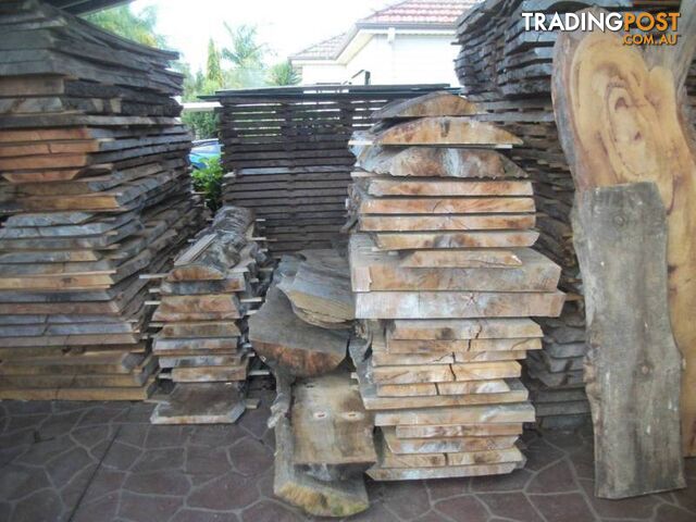 NORFOLK ISLAND PINE TIMBER SLABS - 2.4 to 3.8 mtrs x 40cm-80cm - photo 5 of 10