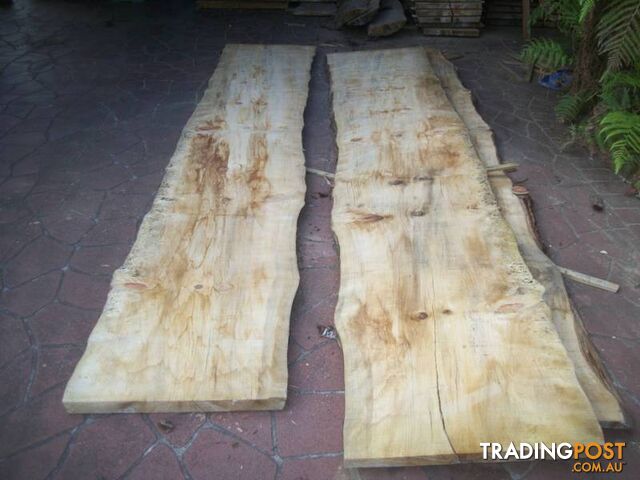 NORFOLK ISLAND PINE TIMBER SLABS - 2.4 to 3.8 mtrs x 40cm-80cm - photo 2 of 10