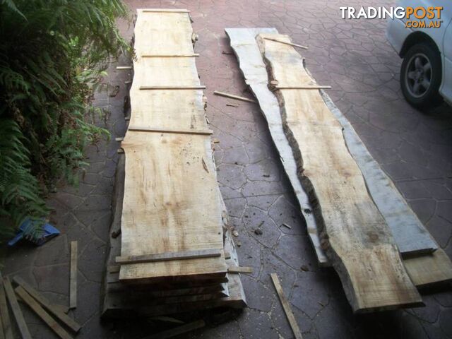NORFOLK ISLAND PINE TIMBER SLABS - 2.4 to 3.8 mtrs x 40cm-80cm