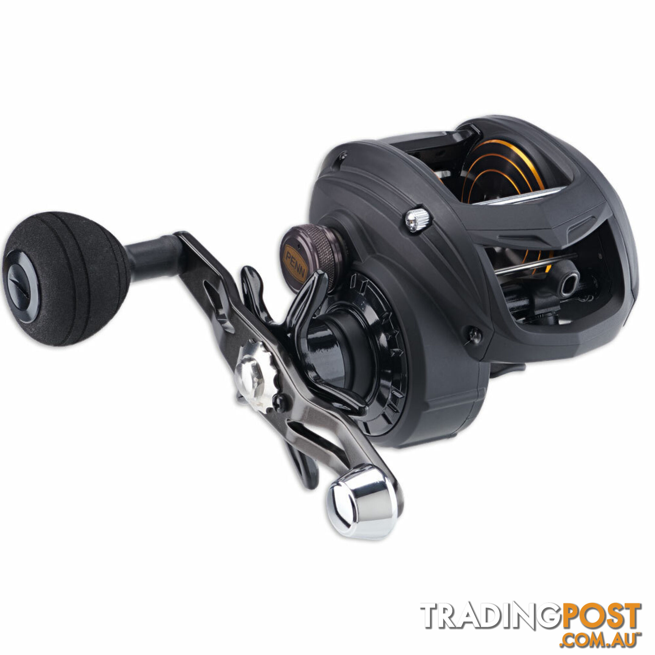 Penn Saltwater Low Profile Baitcaster Reels - PENNLPSW - Penn