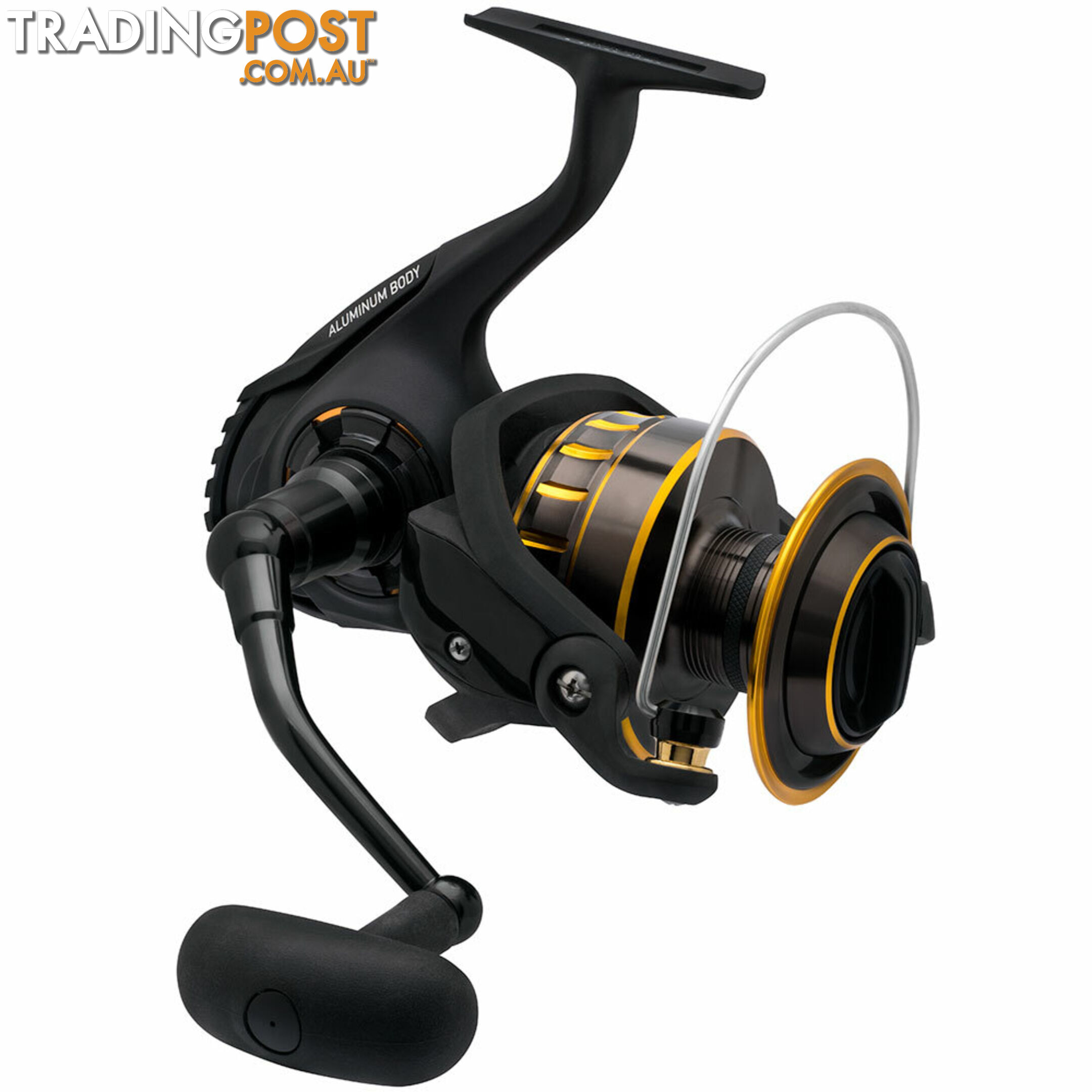 Daiwa BG Reels - BGREEL - Daiwa Fishing