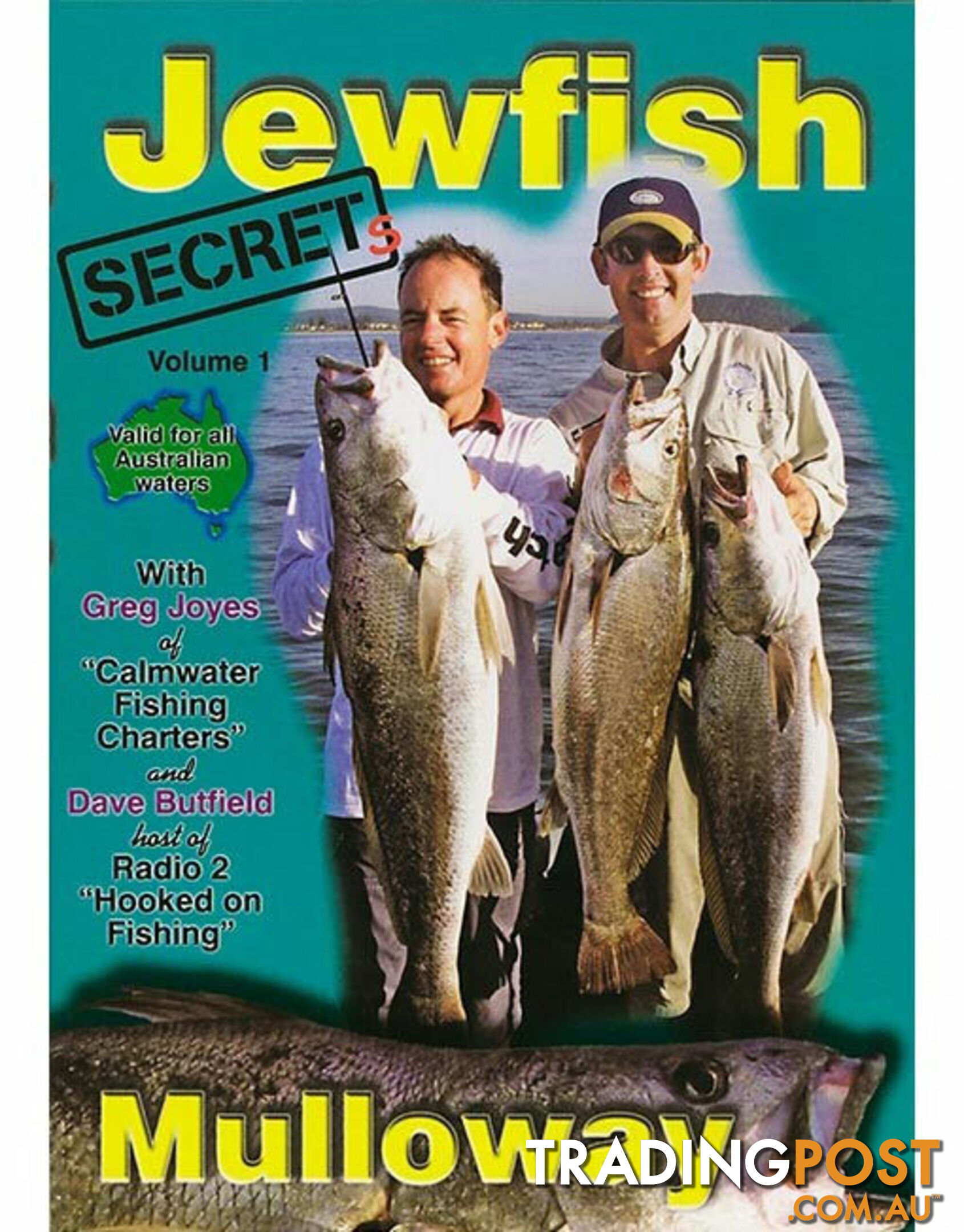 Jewfish Secrets DVD - DVD167 - AFN - 9313000021410