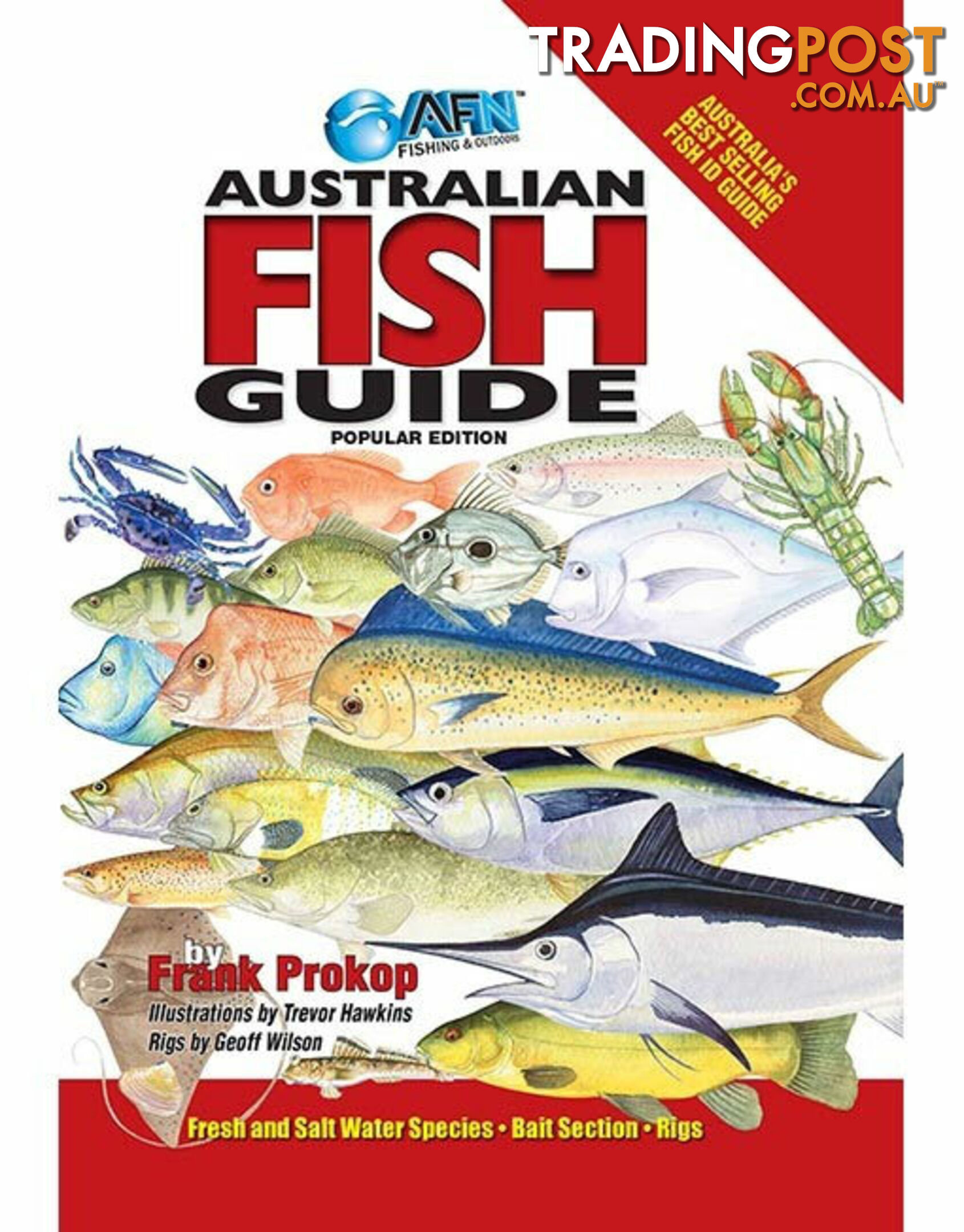 AFN Australian Fish ID Guide Book (Popular Edition) - BOOK-$29.95-B3614 - AFN - 9781865133614