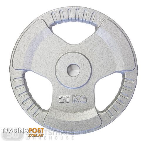 HCE Hammertone Standard Weight Plate 20kg - HCE - 2200000907370