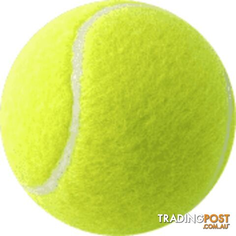 Yonex Assorted 4 Inch Tennis ball - YONEX - 9315392000936