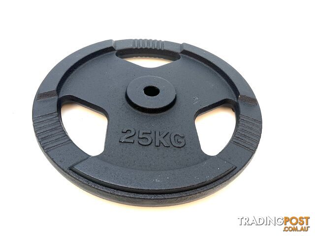 VEO Standard 3 Grip Cast Iron Plate 25KG - VEO