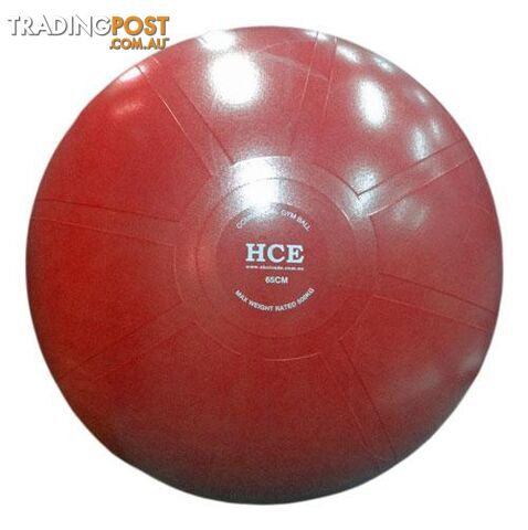HCE 55cm Commercial Gym Ball - Pink - HCE - 6923744000065