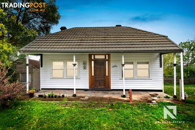 444 Cobden Street Mount Pleasant VIC 3350