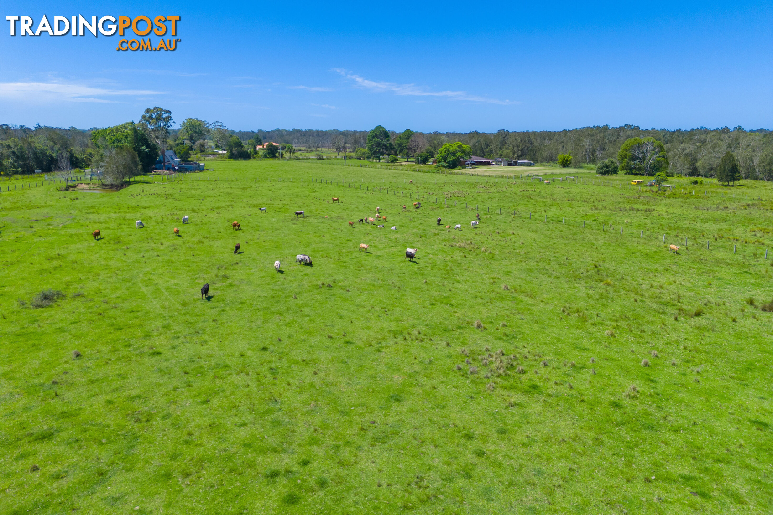 385 Fernbank Creek Road FERNBANK CREEK NSW 2444